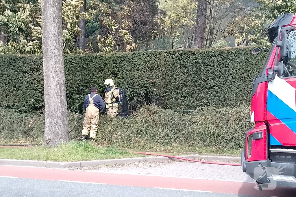 Grote coniferenhaag vliegt in brand