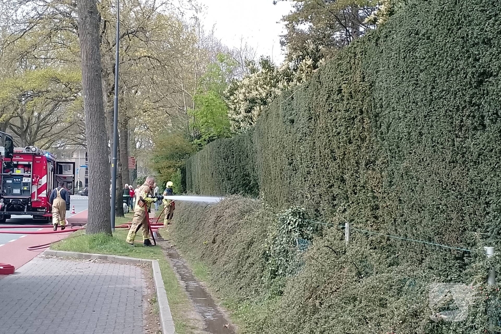 Grote coniferenhaag vliegt in brand