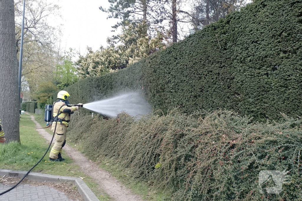 Grote coniferenhaag vliegt in brand