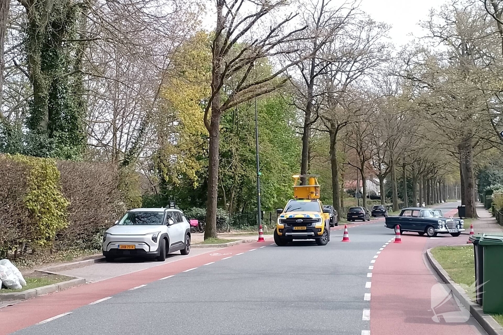 Grote coniferenhaag vliegt in brand