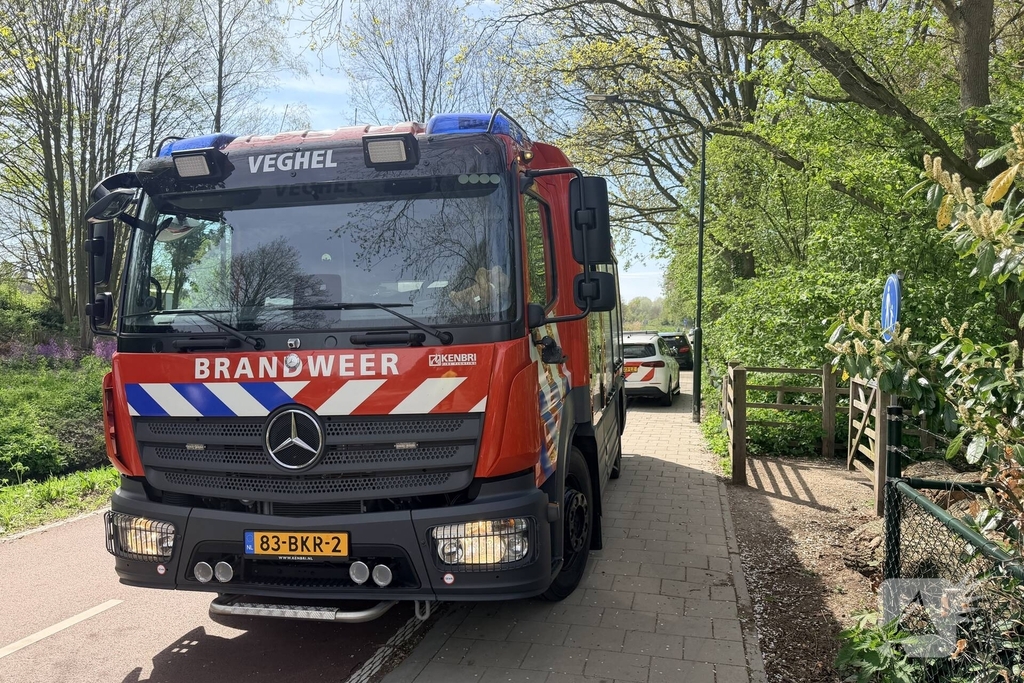 Jongeren steken boom in brand in Veghel