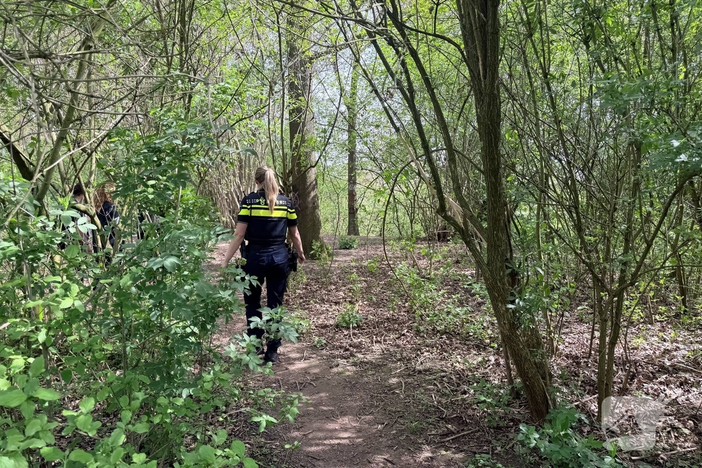 Jongeren steken boom in brand in Veghel