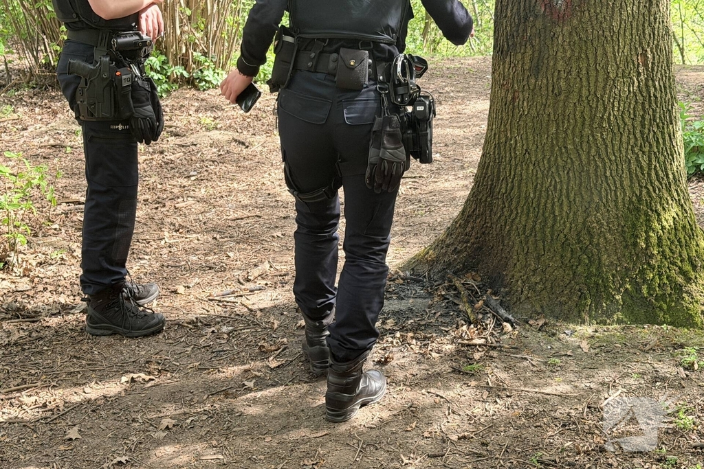 Jongeren steken boom in brand in Veghel