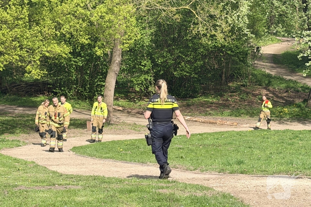 Jongeren steken boom in brand in Veghel