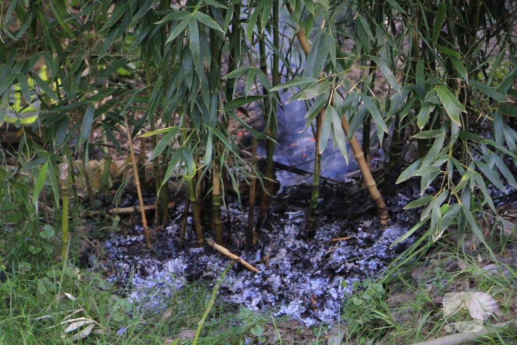 Jeugd ontdekt brand en schakelt hulpdiensten in