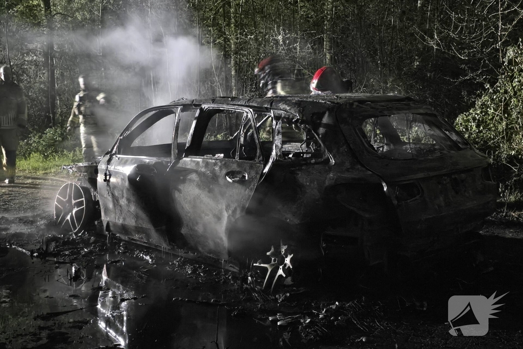 Autobrand in bosgebied volledig verwoest
