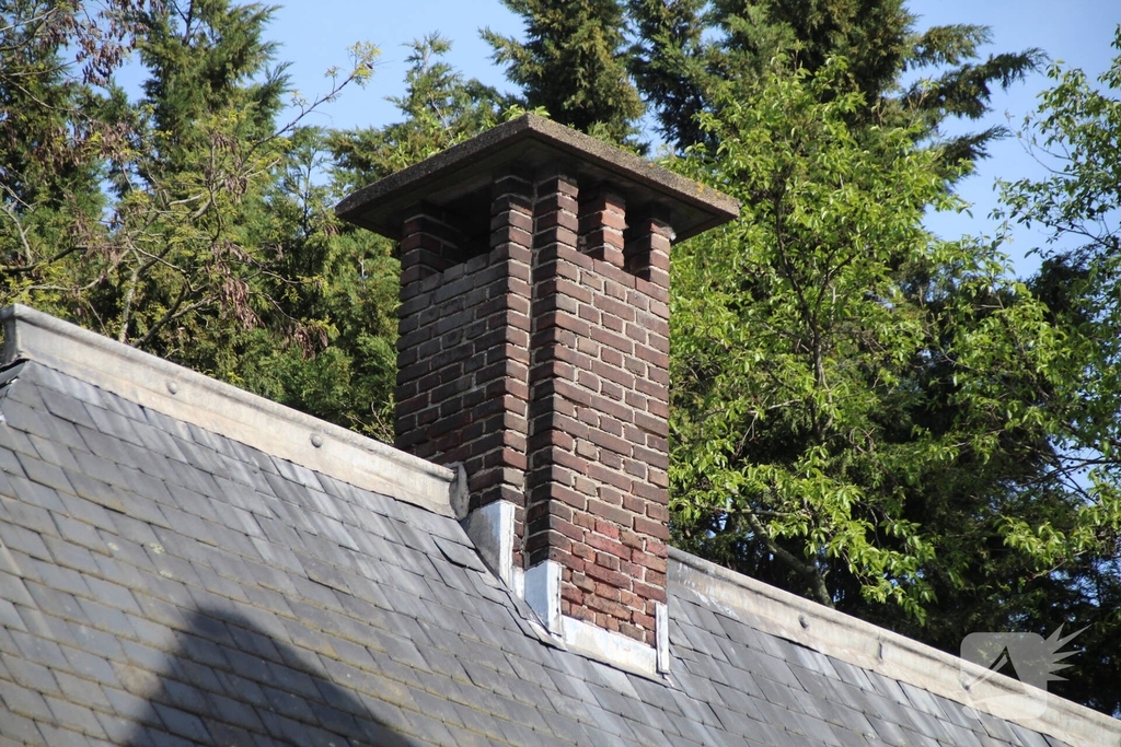 Brandweer redt neilganzen uit schoorsteen