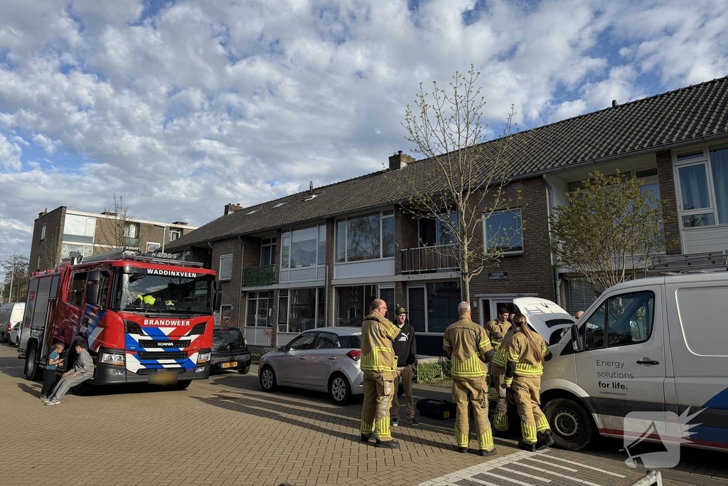 Kat in motorcompartiment, brandweer ingezet