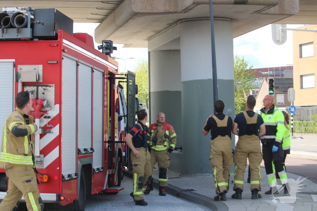 Brandweer redt duiven uit benarde situatie