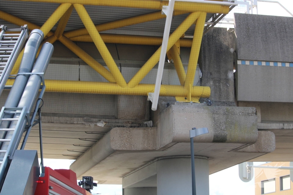 Brandweer redt duiven uit benarde situatie