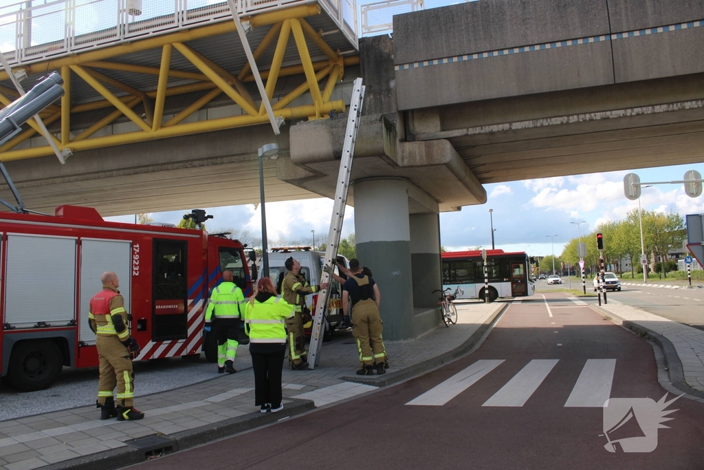 Brandweer redt duiven uit benarde situatie