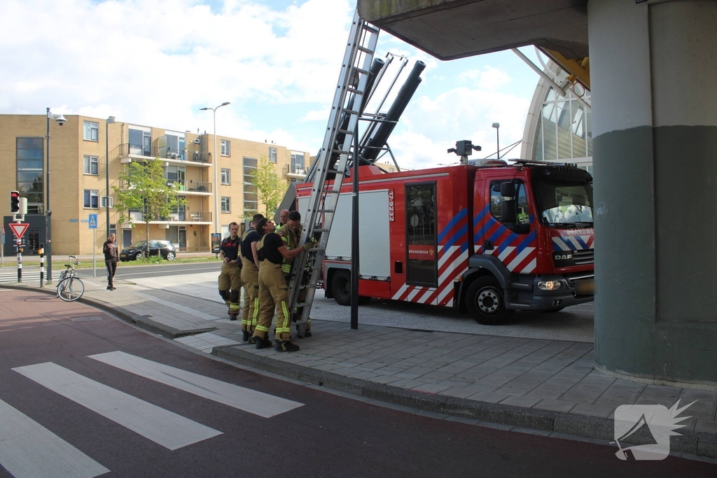Brandweer redt duiven uit benarde situatie