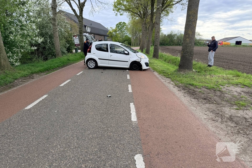 Auto botst tegen boom, bestuurder ongedeerd