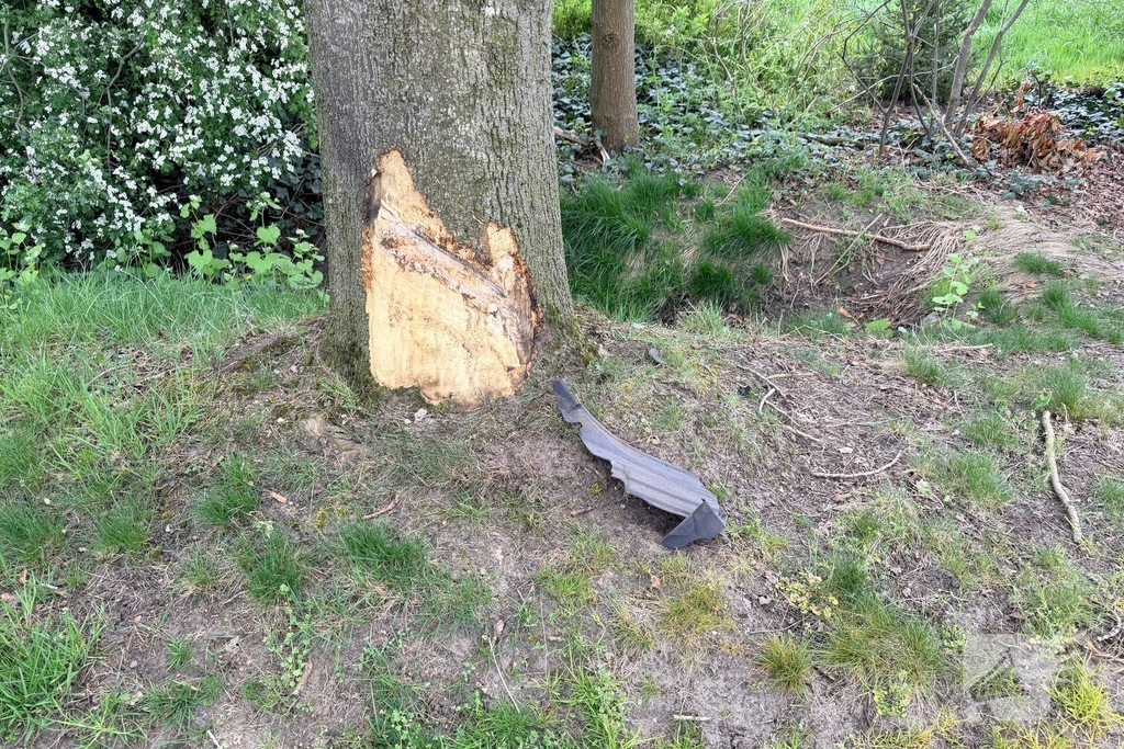 Auto botst tegen boom, bestuurder ongedeerd