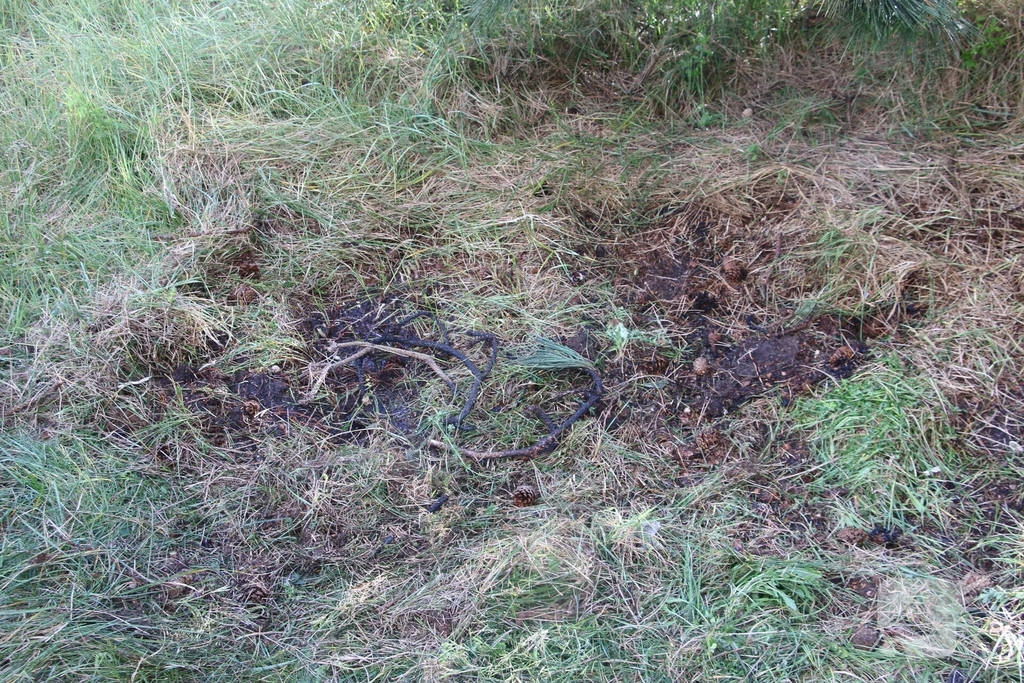 Brand in duinen door dronken persoon