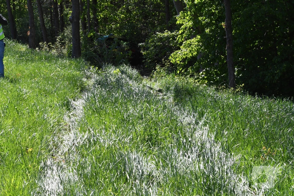Bestuurster rakelings langs bomen bij ongeval