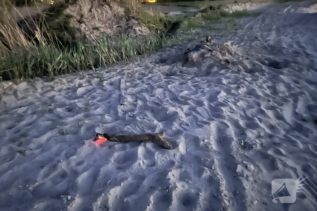 Buitenbrand geblust aan strand