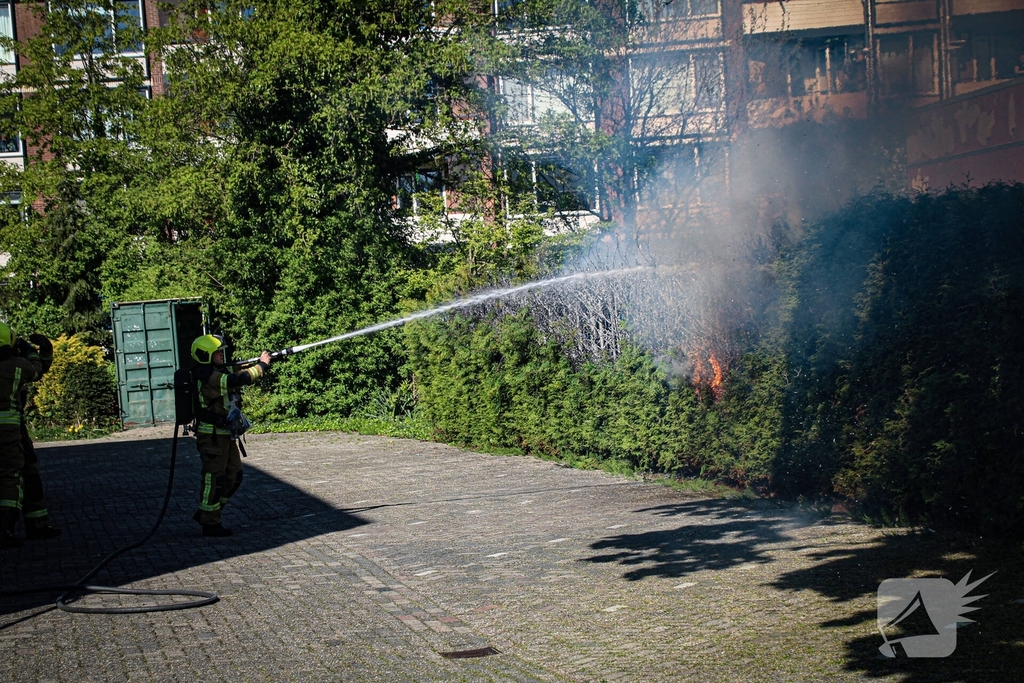Brand in coniferenheg zorgt voor flinke rookontwikkeling