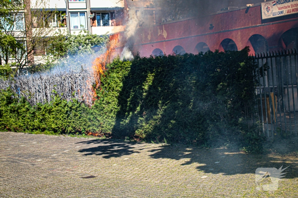 Brand in coniferenheg zorgt voor flinke rookontwikkeling