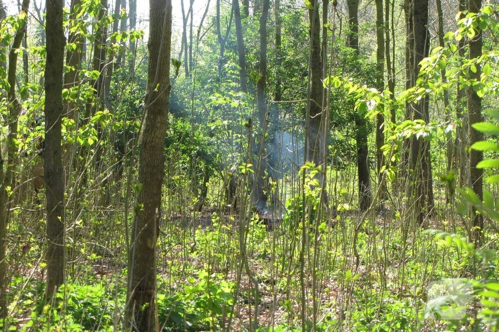 Brandweer bestrijdt brand in natuurgebied