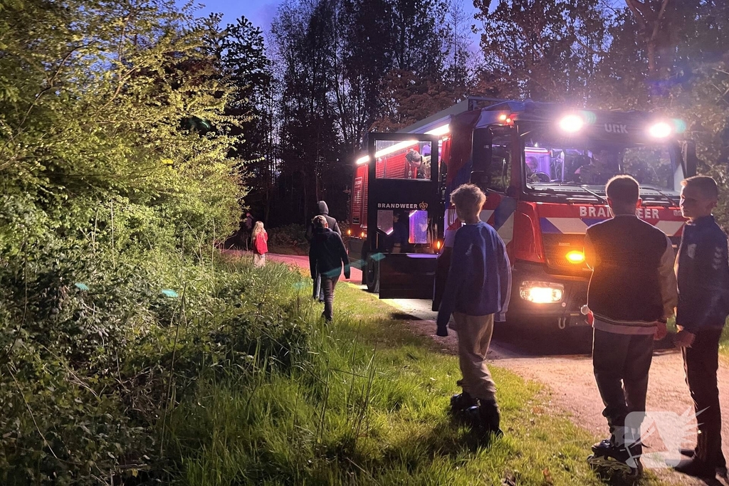 Brand in bosgebied snel onder controle