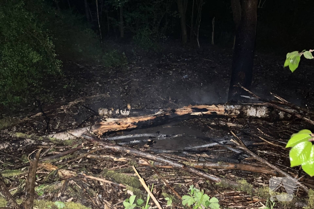 Brand in bosgebied snel onder controle