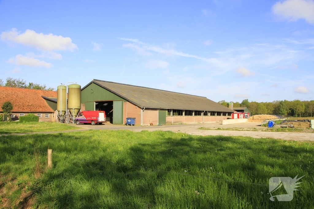 Brandweer helpt boer met koeien in problemen