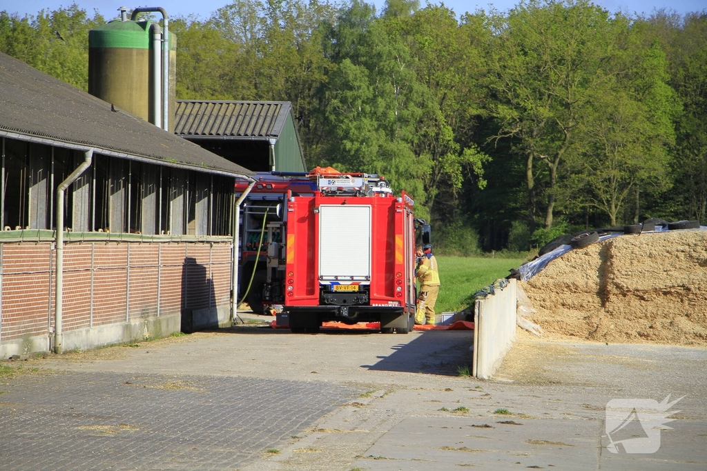 Brandweer helpt boer met koeien in problemen