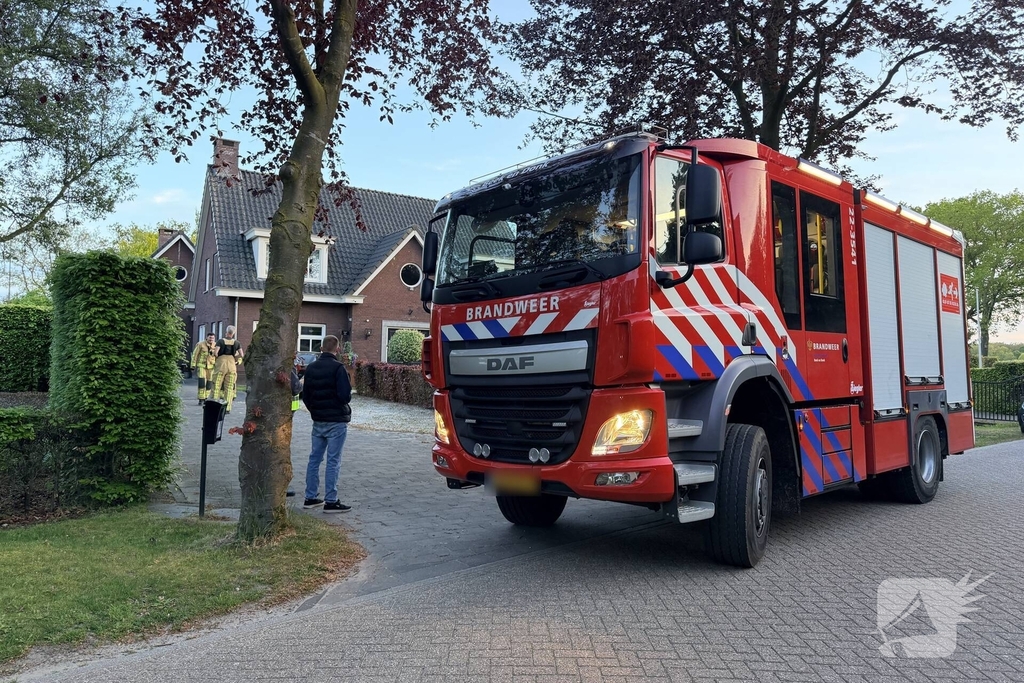 Kat bevrijd uit stenen pizzaoven