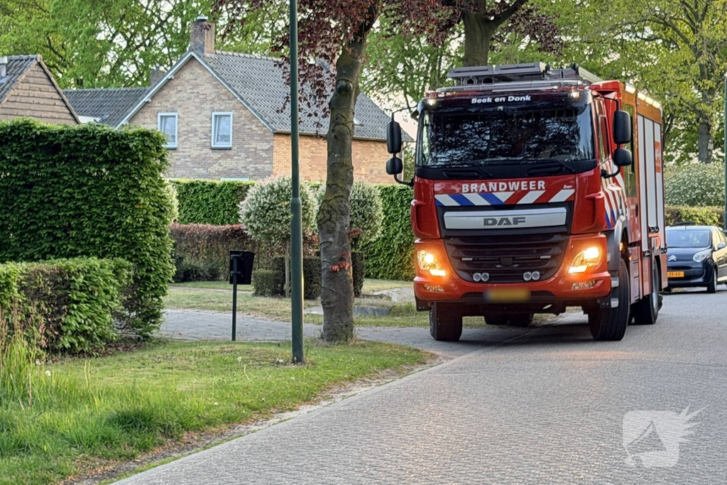 Kat bevrijd uit stenen pizzaoven