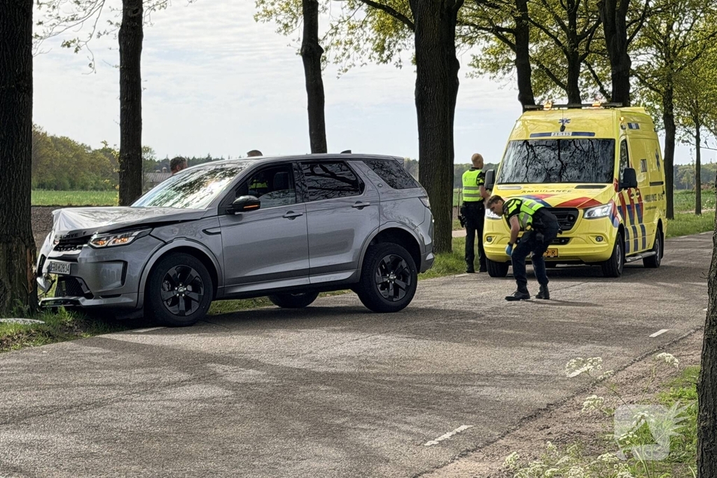 Automobilist botst tegen boom en raakt gewond