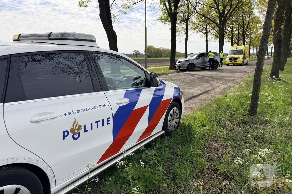 Automobilist botst tegen boom en raakt gewond