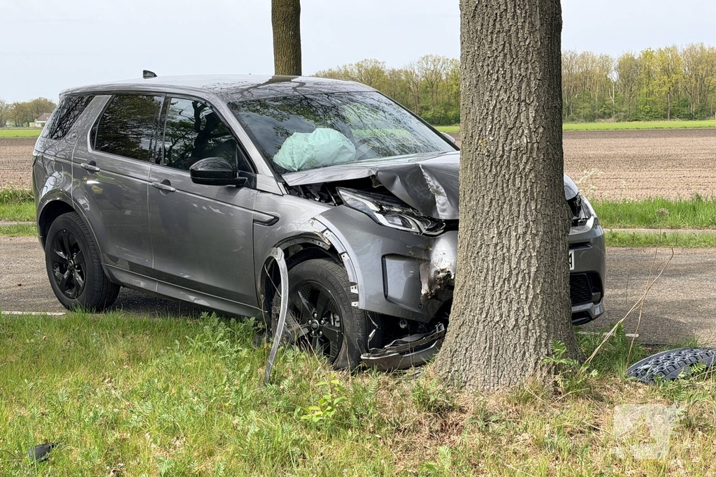 Automobilist botst tegen boom en raakt gewond