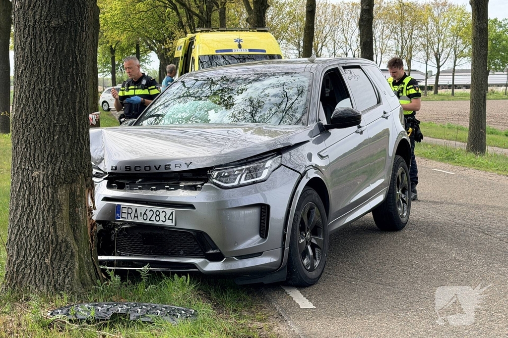 Automobilist botst tegen boom en raakt gewond