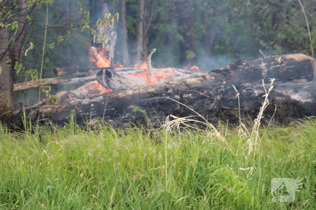 Brandende boomstammen moeilijk te bereiken