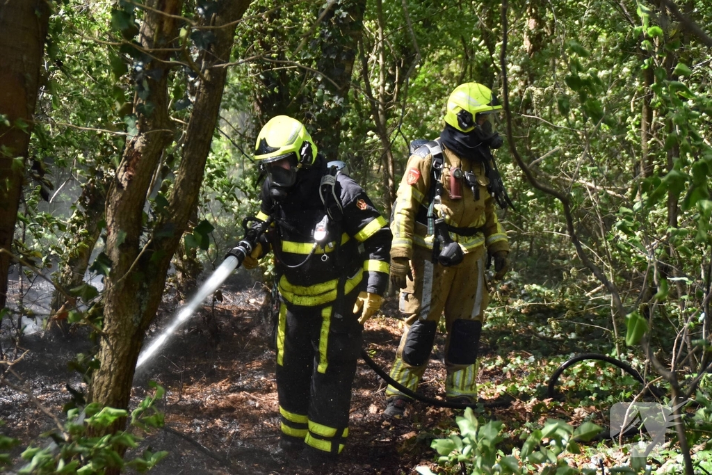 Brand in natuurgebied snel geblust