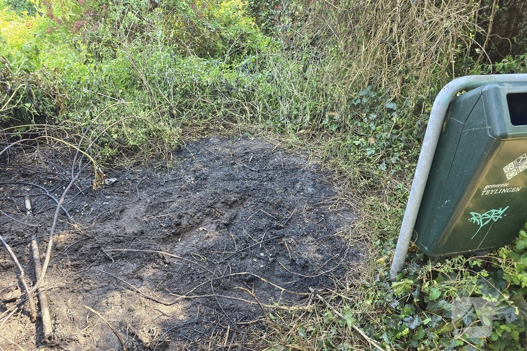 Herhaalde brand in berm en struikgewas