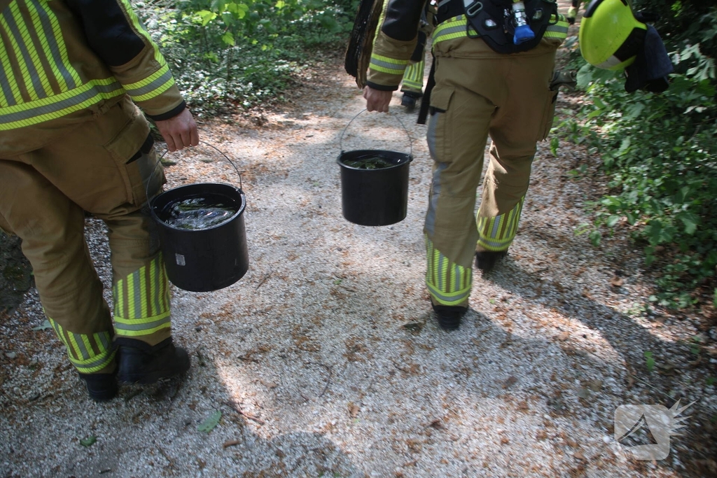 Brandende boomstam geblust met emmers water