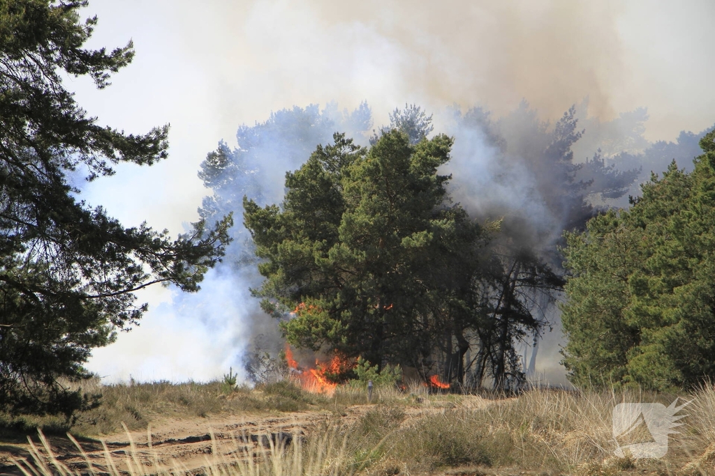 Heidebrand op oefenterrein Defensie snel opgeschaald