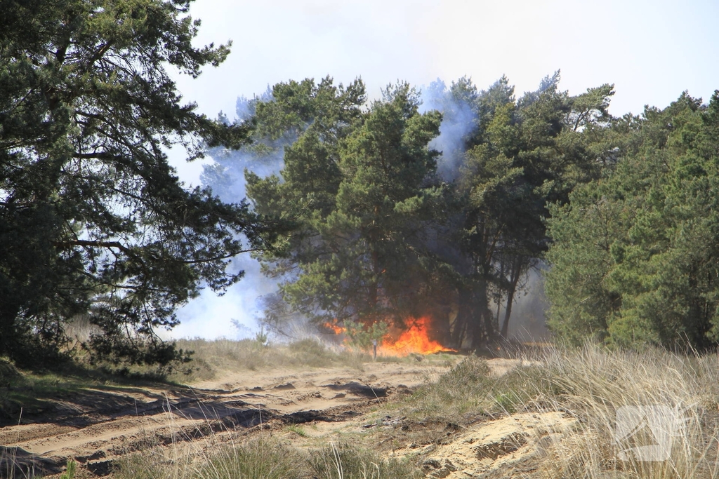 Heidebrand op oefenterrein Defensie snel opgeschaald
