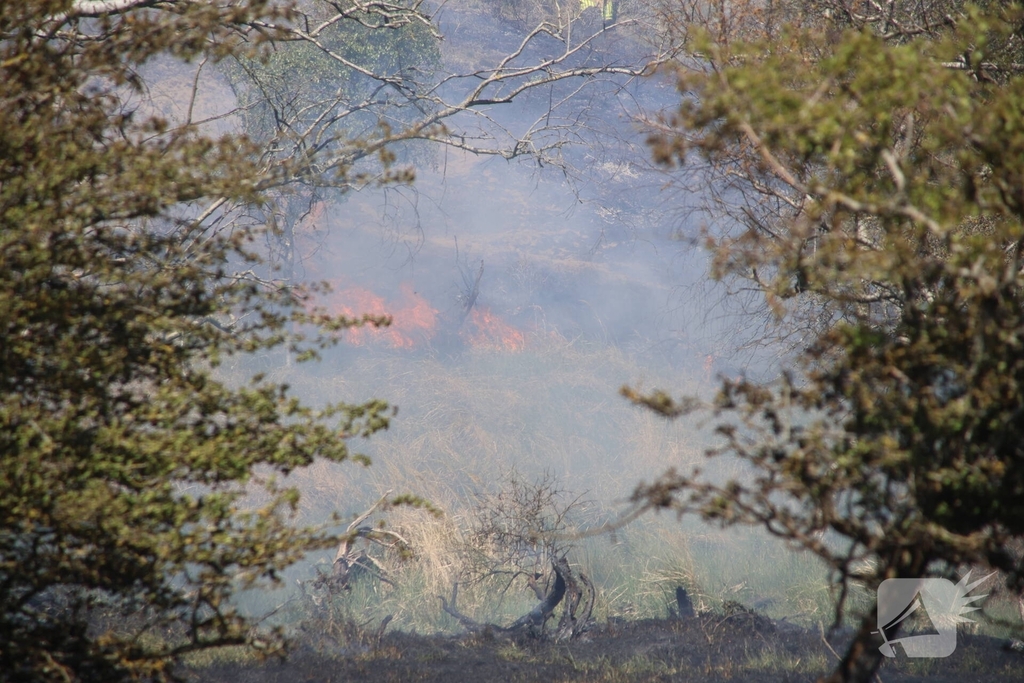 Brand in duingebied zorgt voor rookontwikkeling