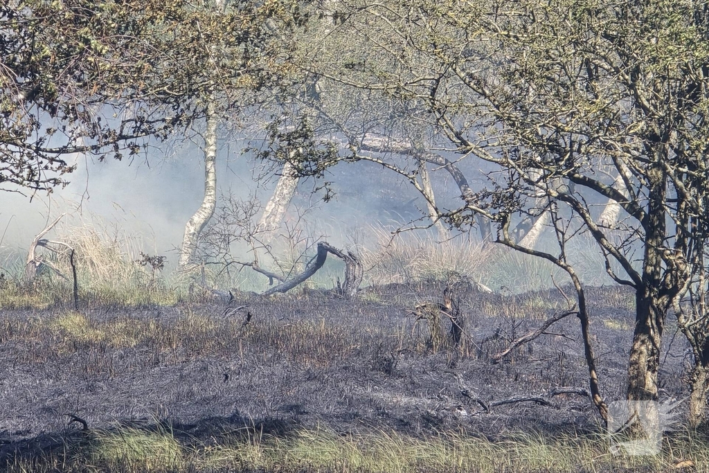 Brand in duingebied zorgt voor rookontwikkeling