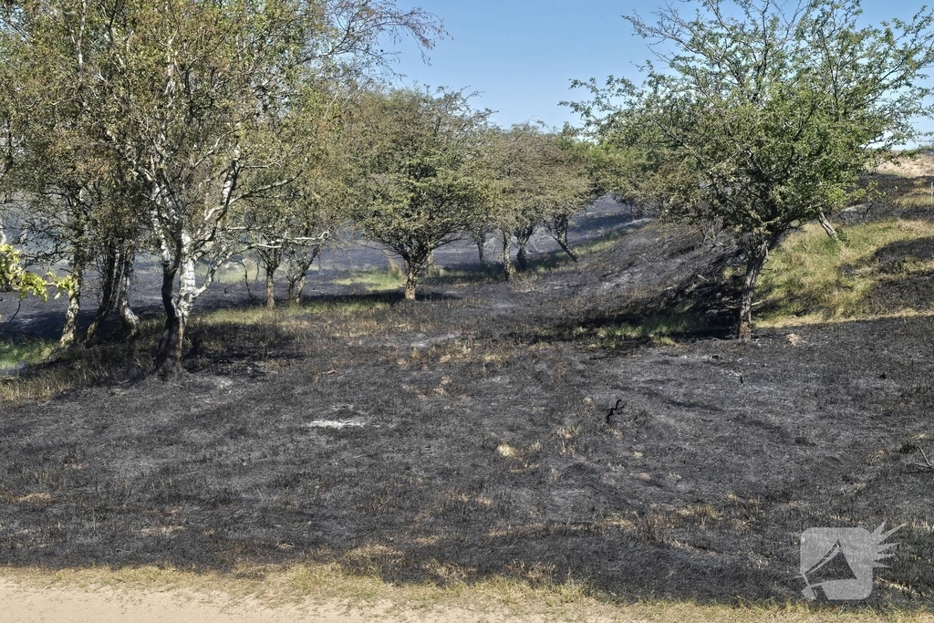 Brand in duingebied zorgt voor rookontwikkeling