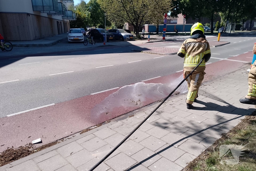 Brandweer blust smeulende boomzaden