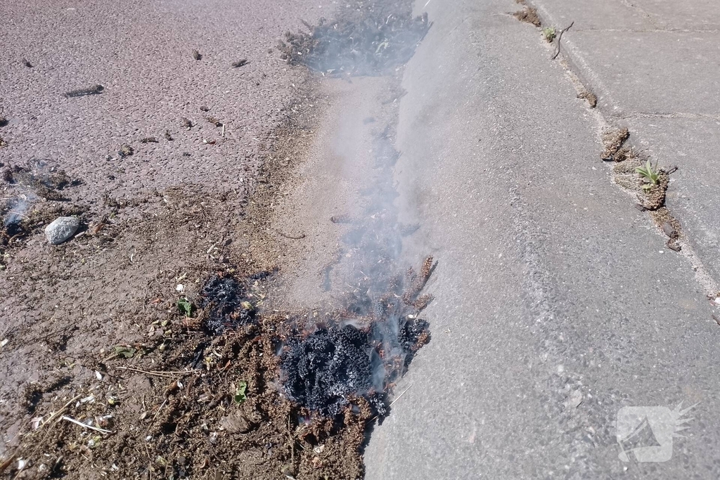 Brandweer blust smeulende boomzaden