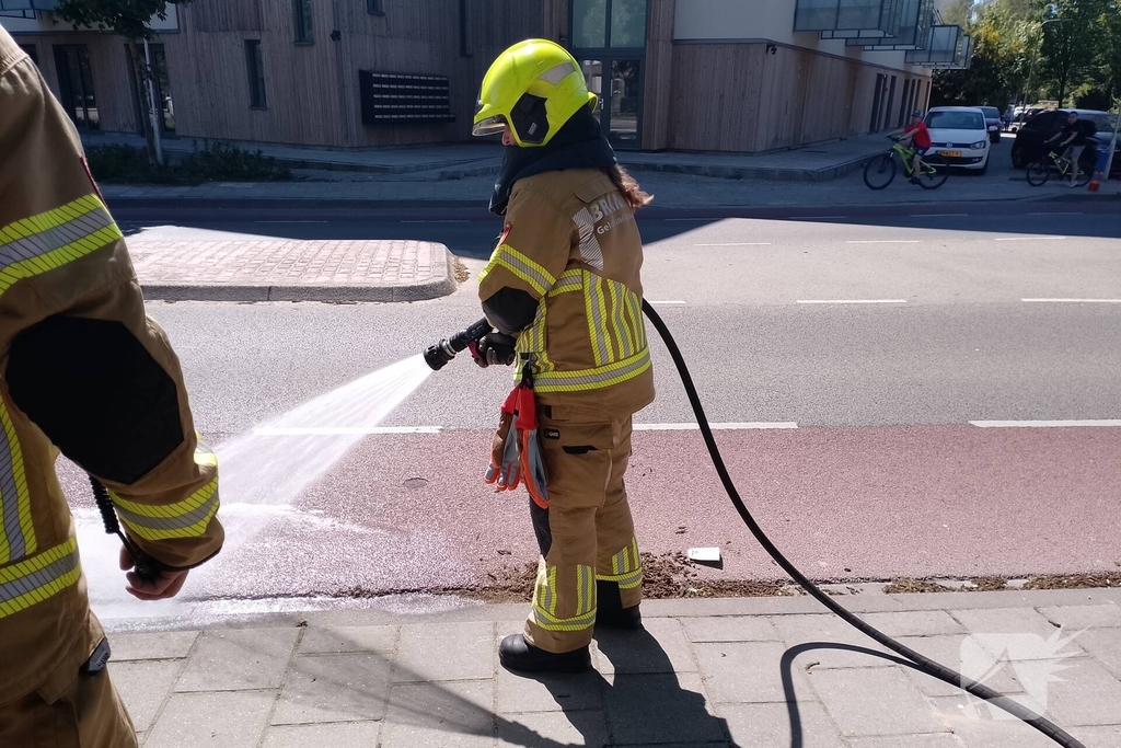 Brandweer blust smeulende boomzaden