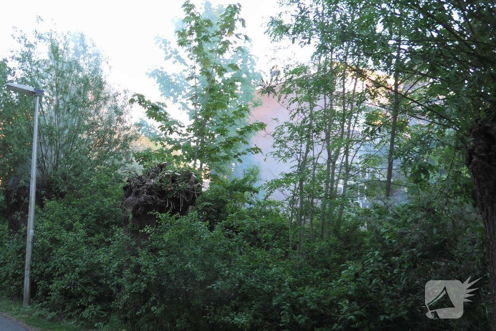 Brand in berm en boom bestreden door brandweer