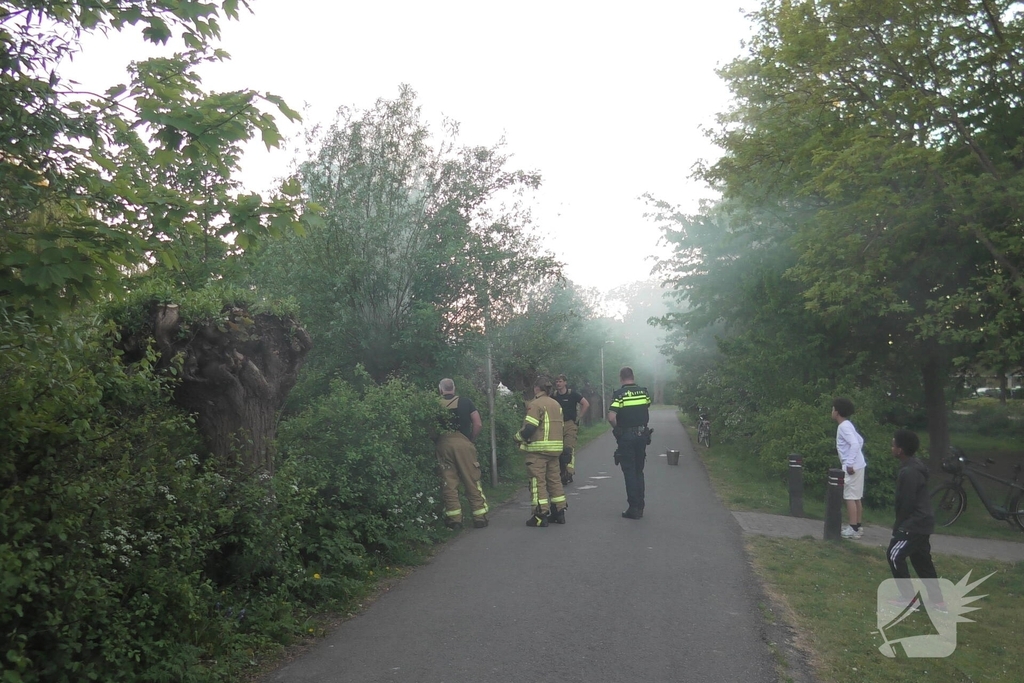 Brand in berm en boom bestreden door brandweer
