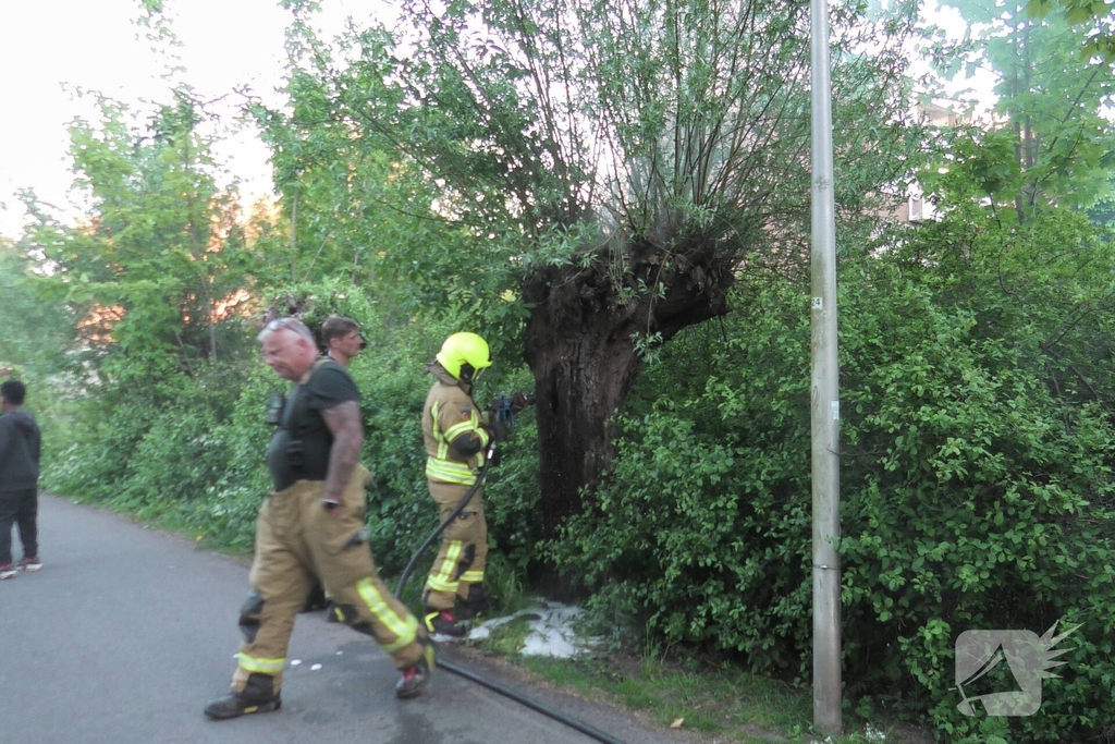 Brand in berm en boom bestreden door brandweer