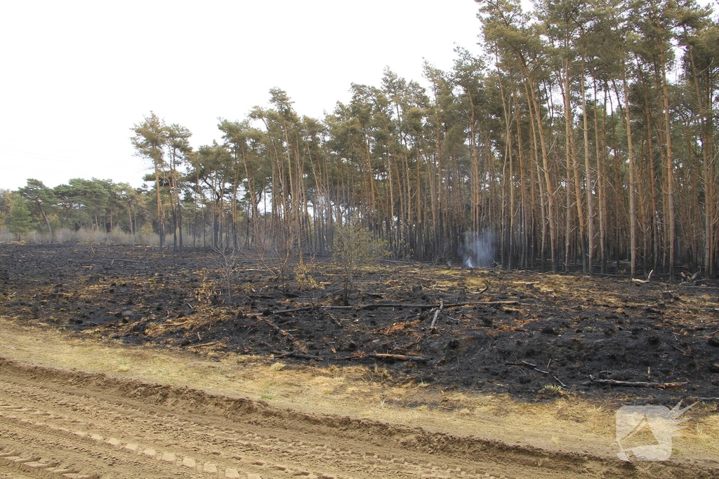 Schade door natuurbrand goed zichtbaar